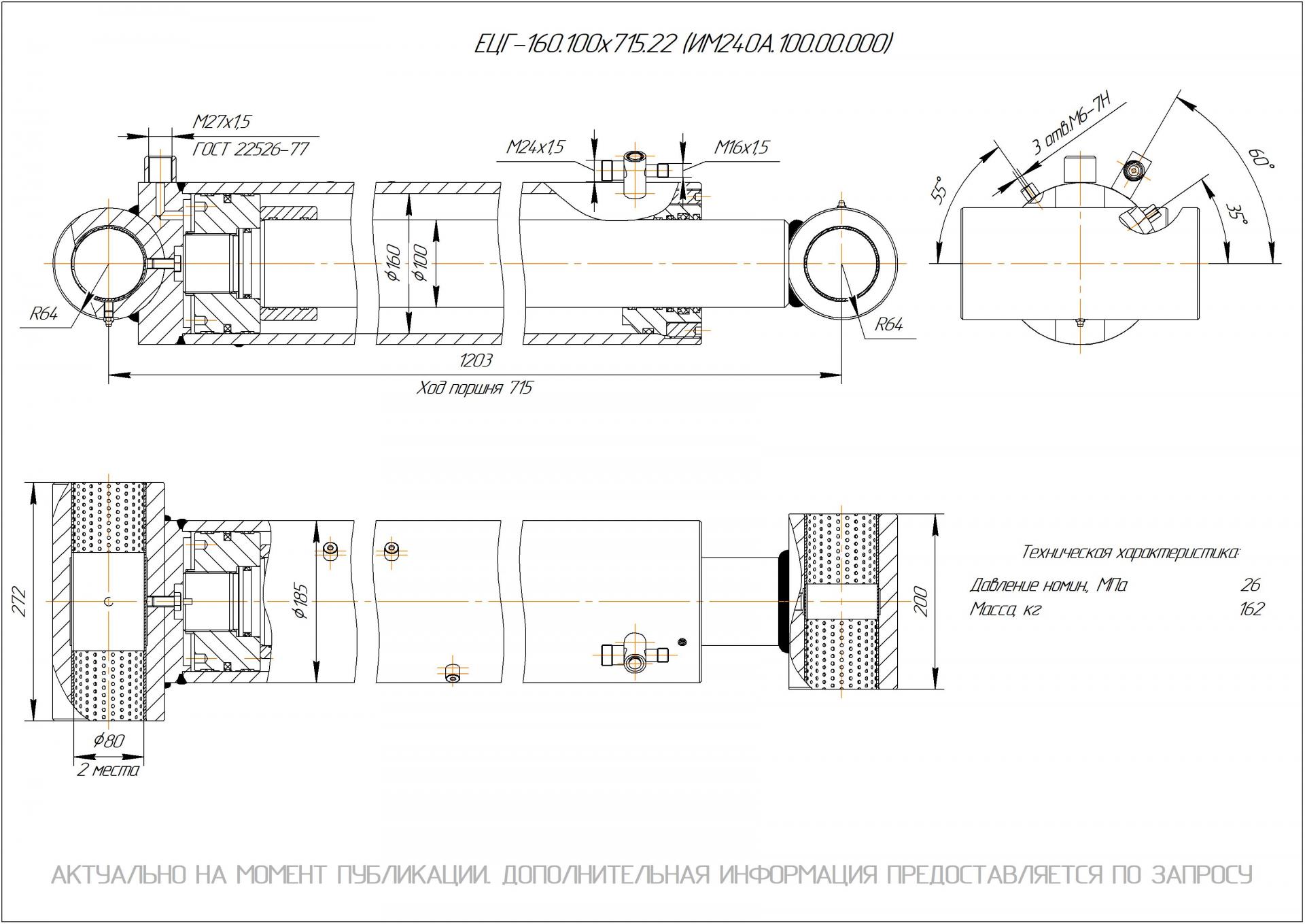 ЕЦГ-160.100х715.22 Гидроцилиндр