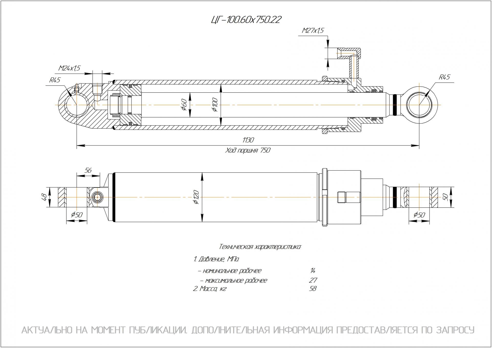 ЦГ-100.60х750.22 Гидроцилиндр