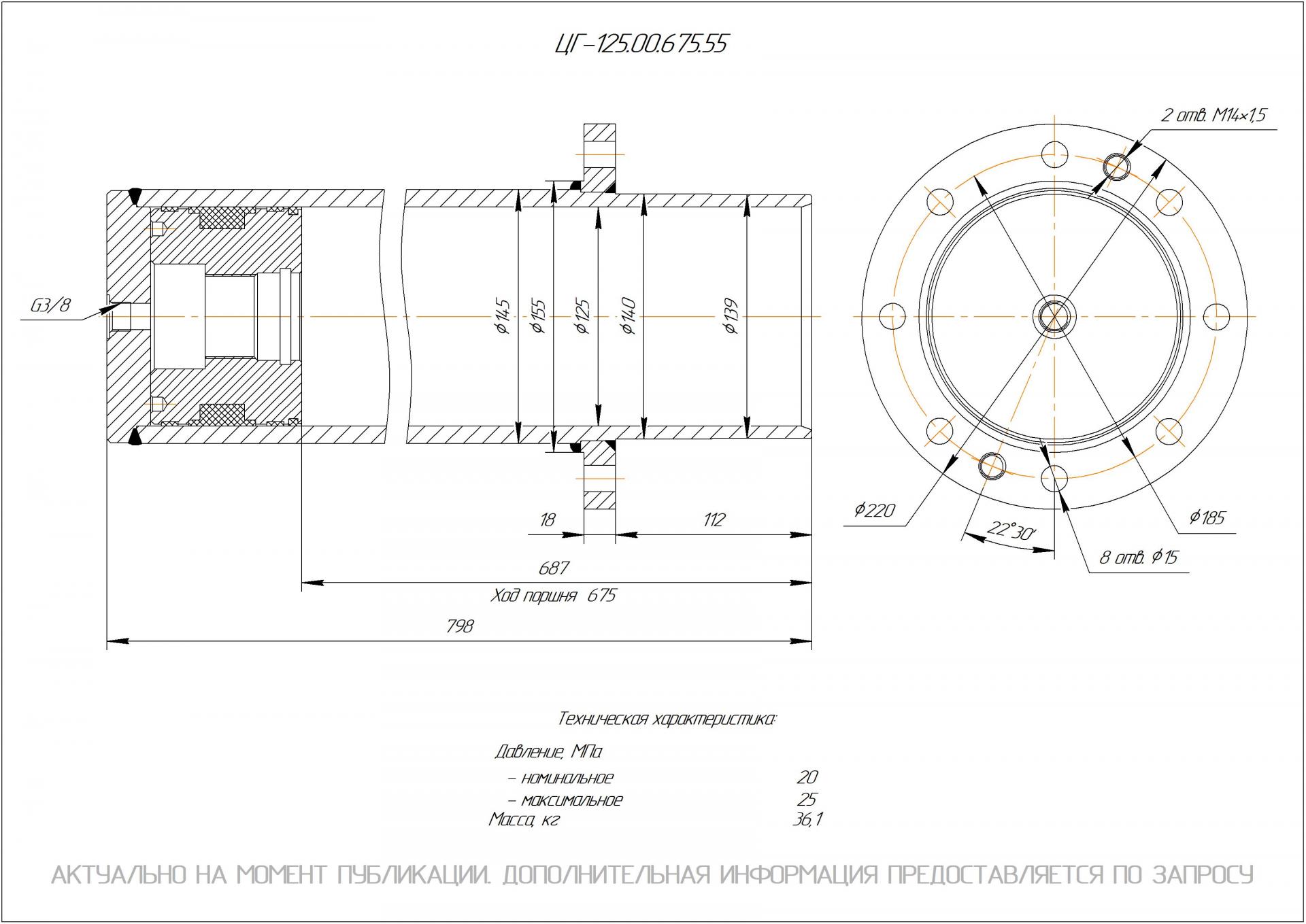 ЦГ-125.00.675.55 Гидроцилиндр