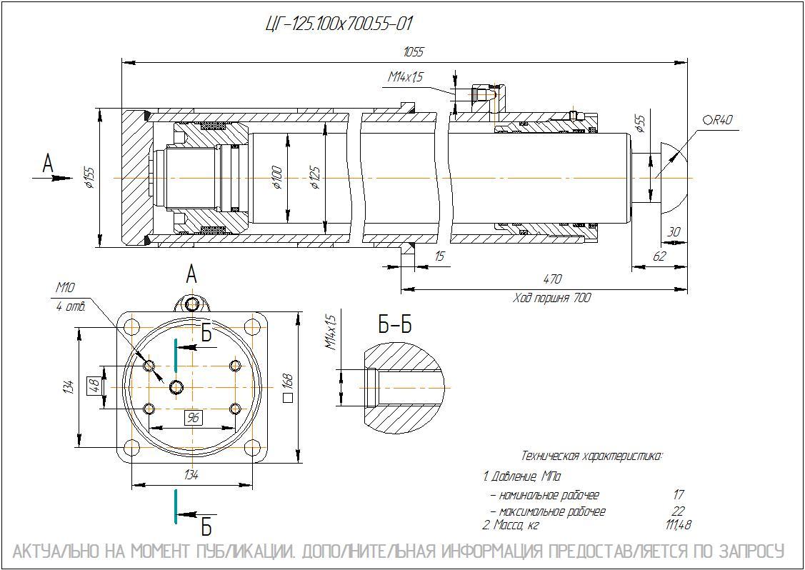  Чертеж ЦГ-125.100х700.55-01 Гидроцилиндр