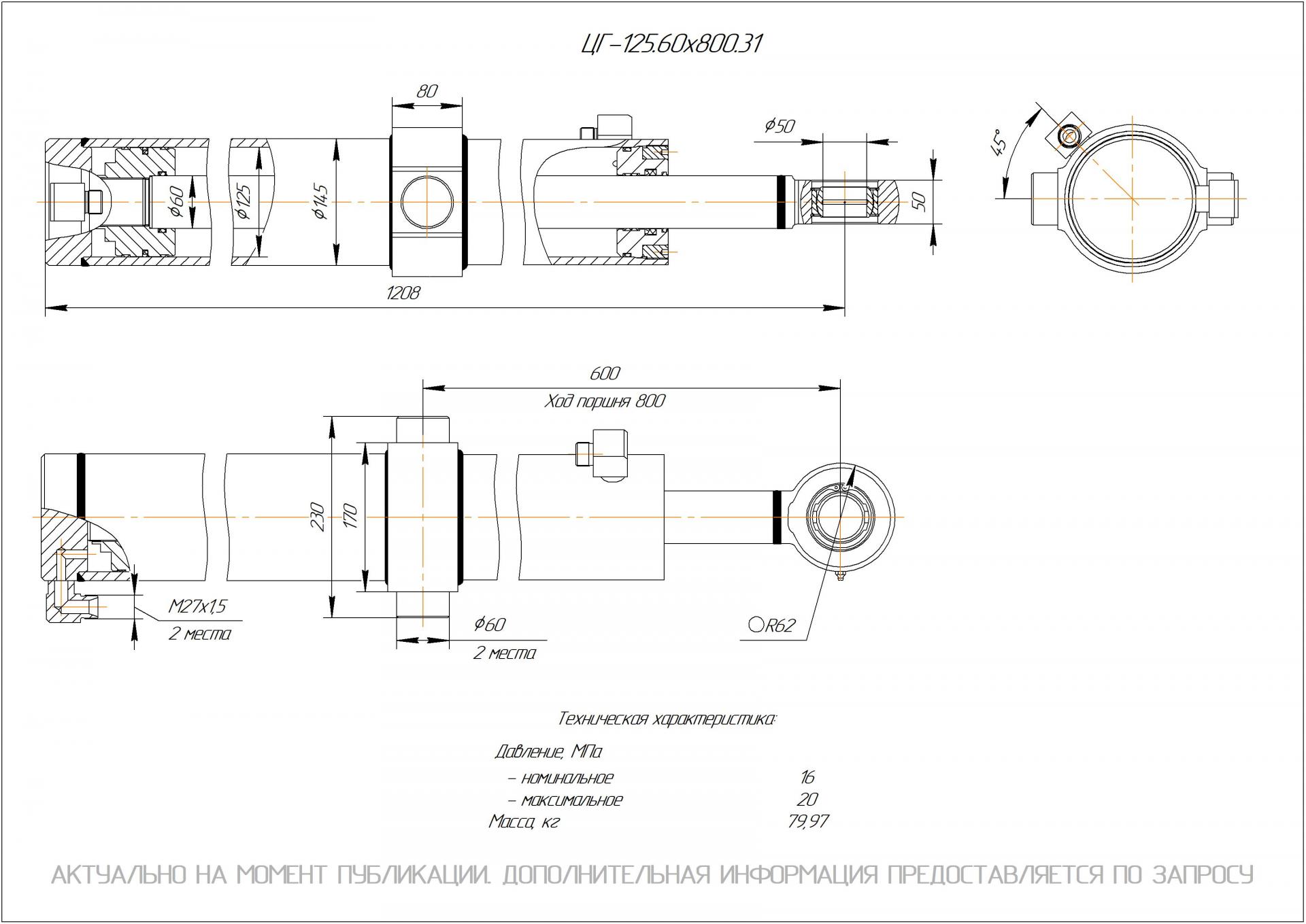 ЦГ-125.60х800.31 Гидроцилиндр