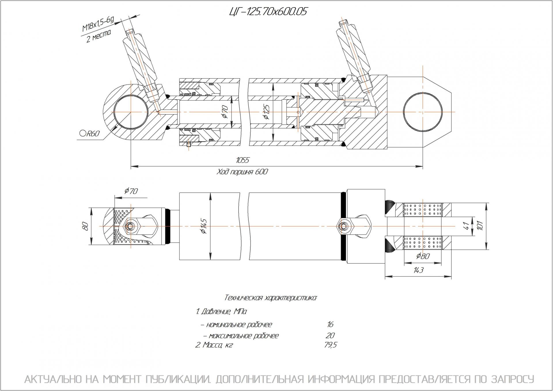 ЦГ-125.70х600.05 Гидроцилиндр