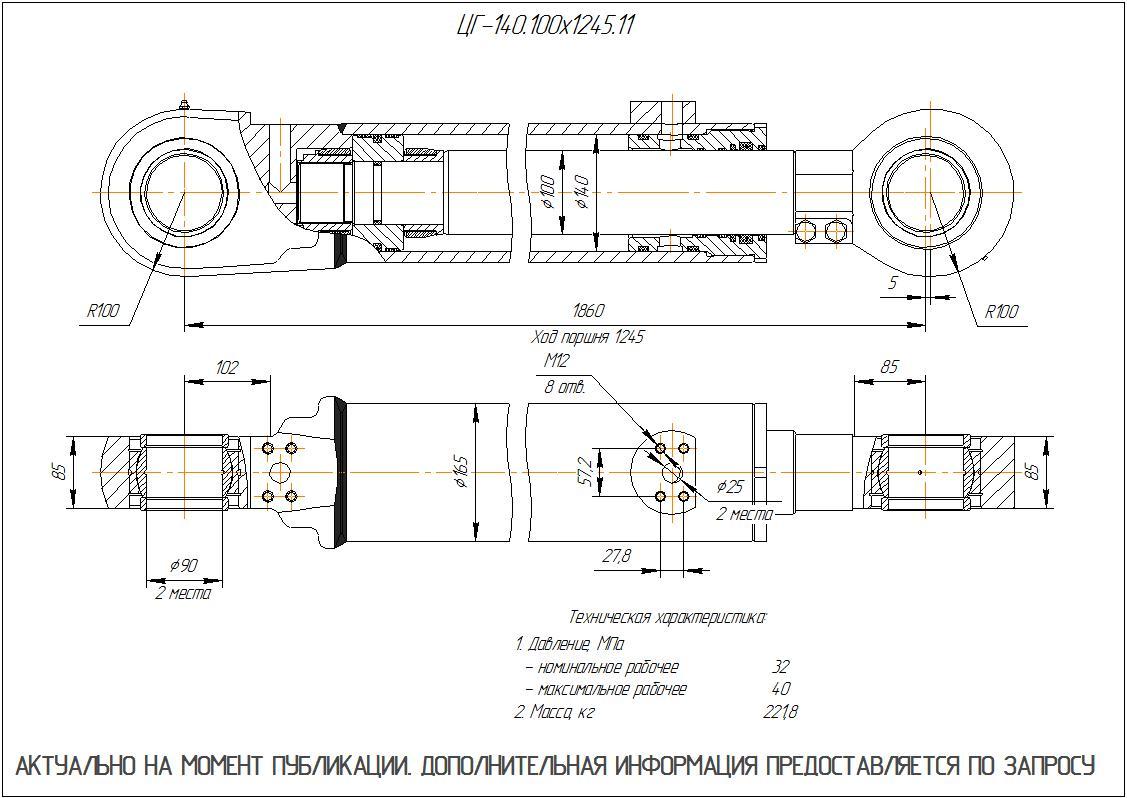 ЦГ-140.100х1245.11 Гидроцилиндр