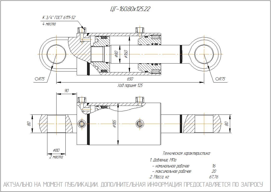 ЦГ-160.80х125.22 Гидроцилиндр