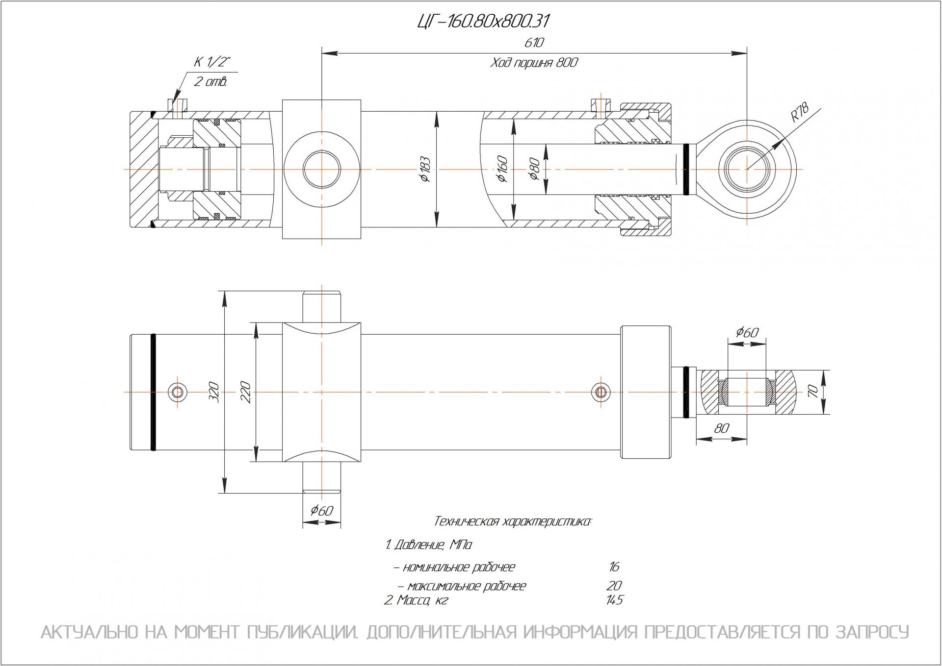 ЦГ-160.80х800.31 Гидроцилиндр