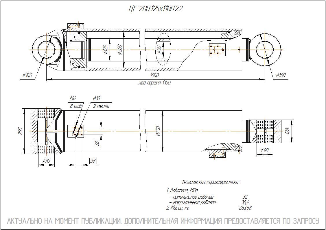 ЦГ-200.125х1100.22 Гидроцилиндр