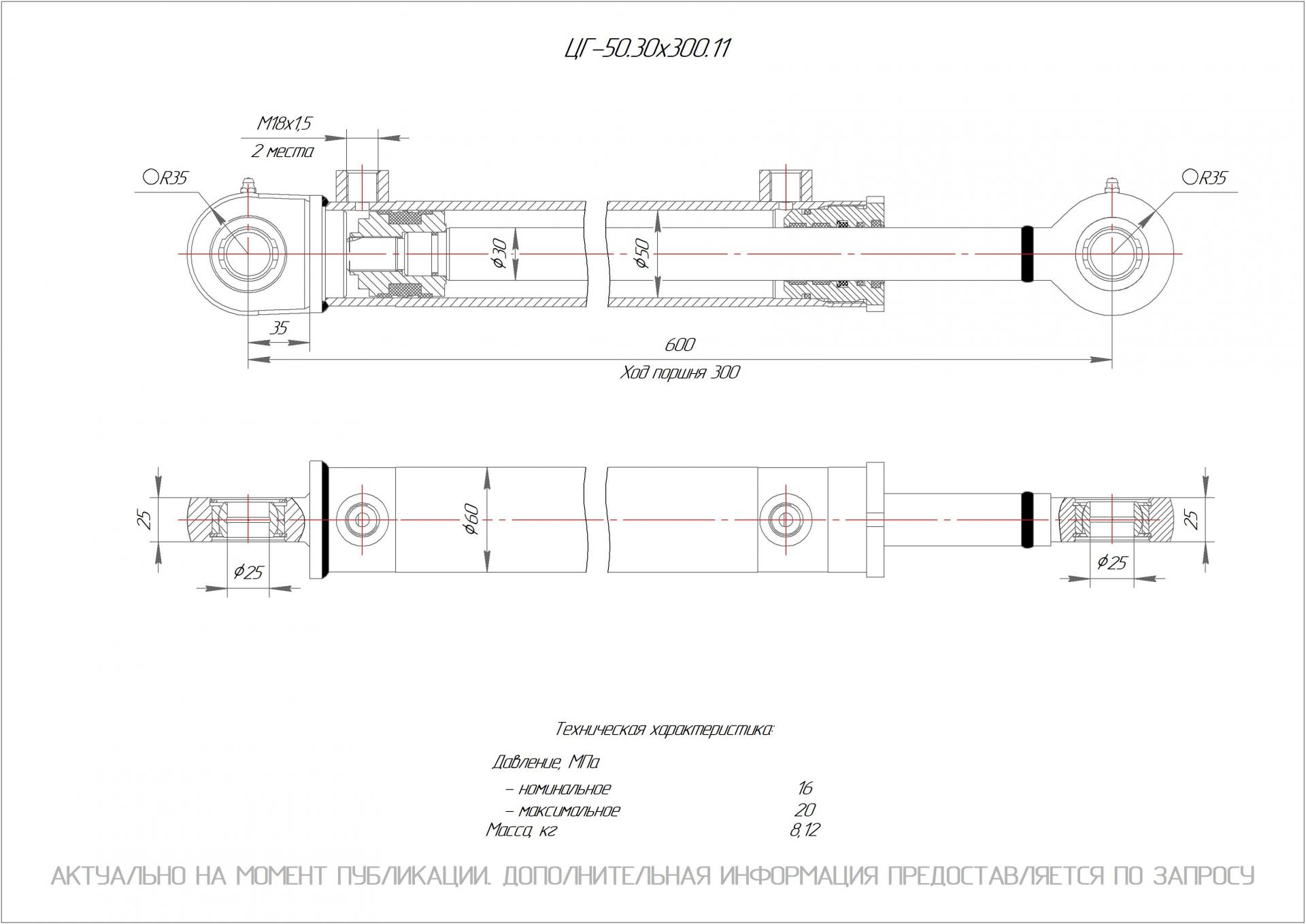 ЦГ-50.30х300.11 Гидроцилиндр