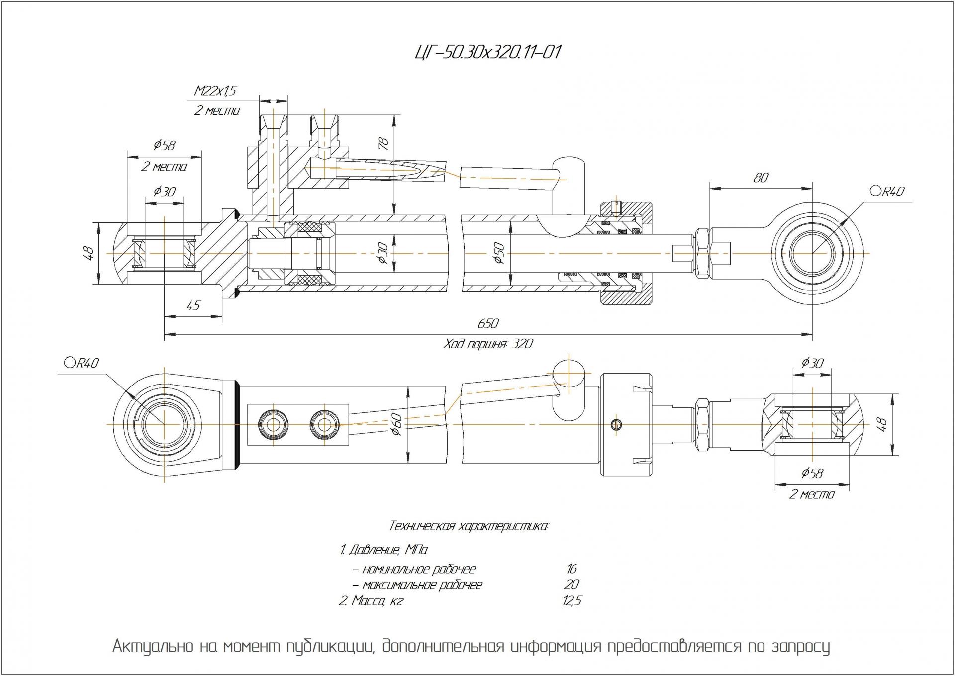 ЦГ-50.30х320.11-01 Гидроцилиндр