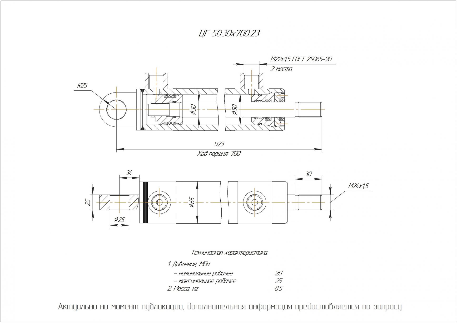 ЦГ-50.30х700.23 Гидроцилиндр