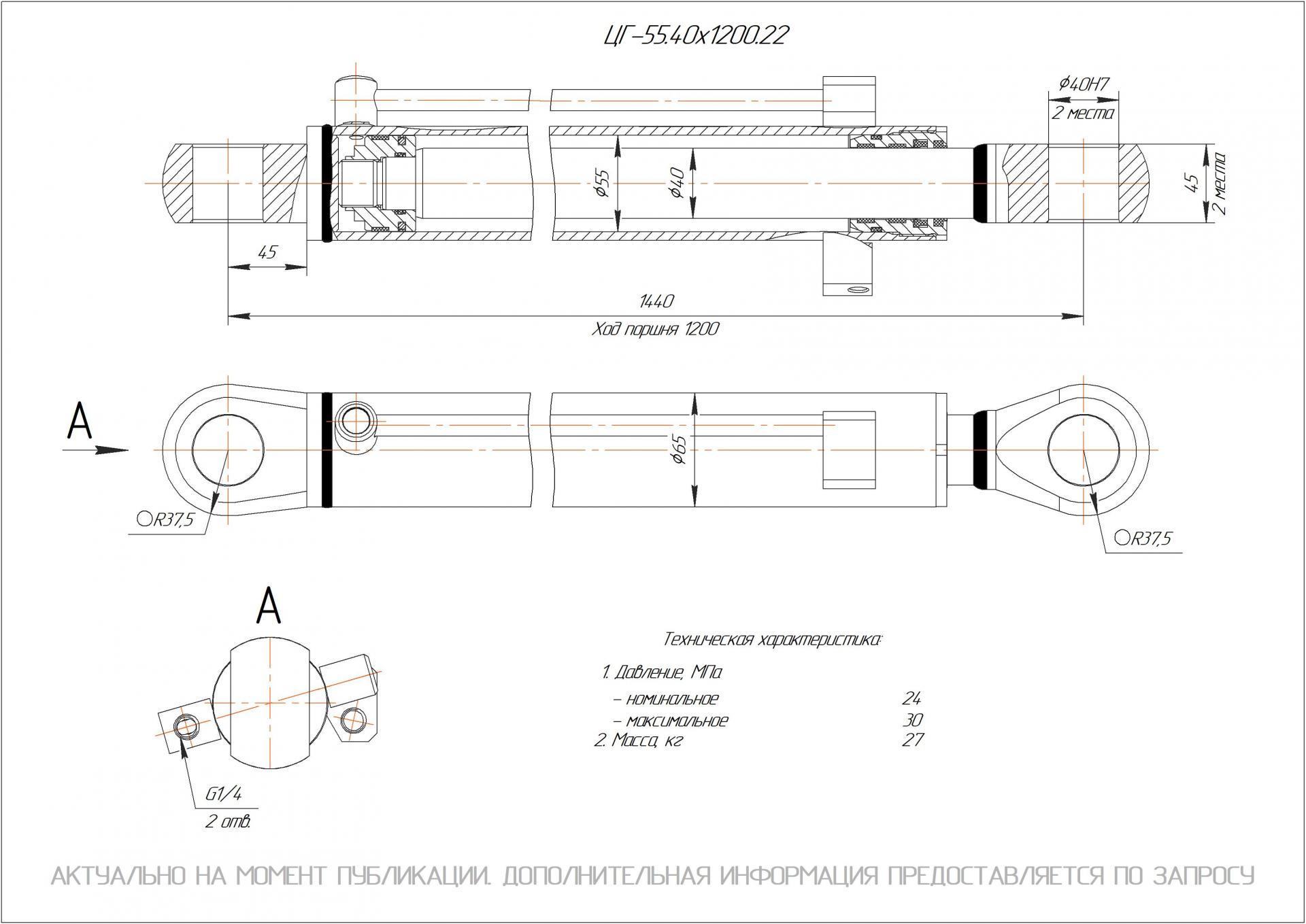 ЦГ-55.40х1200.22 Гидроцилиндр