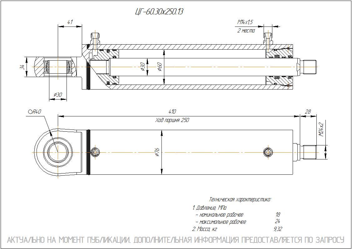  Чертеж ЦГ-60.30х250.13 Гидроцилиндр